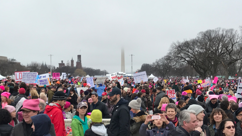 Illustration for article titled Hot Take: Protests in the First Weeks of the Trump Presidency (Washington D.C.)